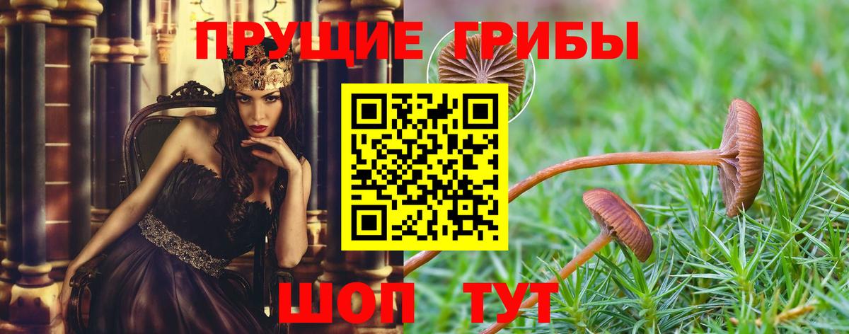 Чита  где продают   Вход с VPN  Галлюциногенные грибы MAGIC MUSHROOMS  Галлюциногенные грибы GOLDEN TEACHER 